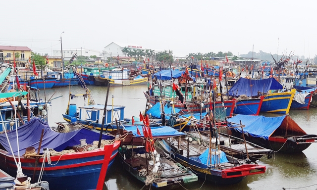 Công tác quản lý tàu cá, kiểm soát sản lượng thủy sản được triển khai tại các cảng cá