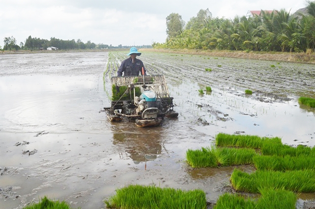 Kiên Giang đang dành nhiều nguồn lực để phát triển HTX nông nghiệp