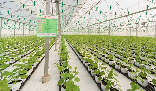 The PAN Group cung cấp các sản phẩm nông nghiệp và thực phẩm đóng gói cao cấp cho thị trường Việt Nam và thế giới.