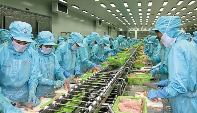 IDI sẽ chi trả 20% cổ tức trong thời gian tới