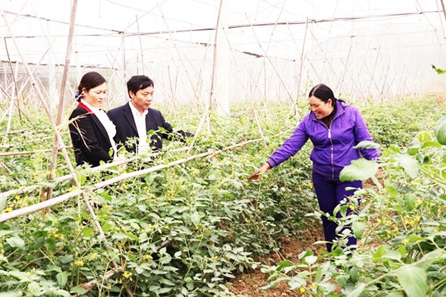 Việt Yên đang dành nhiều nguồn lực phát triển HTX nông nghiệp công nghệ cao