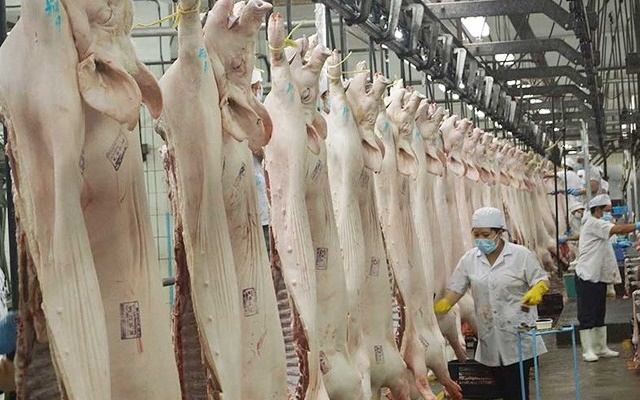 Cho phép nhập khẩu những lô hàng thịt lợn rời cảng xuất hành trước ngày 20/9/2018