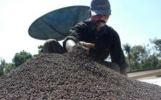 Việt Nam cung ứng hạt tiêu khoảng 200.000 tấn/năm