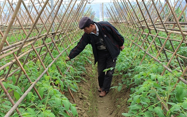 Ảnh minh họa (Nguồn Internet)