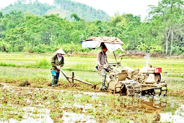 Sơn Dương đang chủ động hóa giải rào cản, tạo động lực phát triển HTX nông, lâm nghiệp