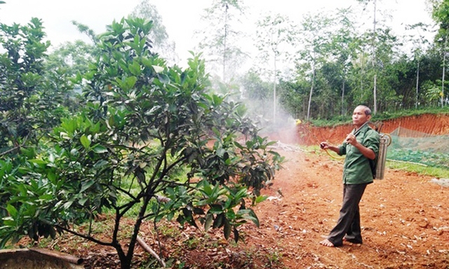 Phun thuốc trừ sâu bằng thảo dược ở xã Tào Sơn