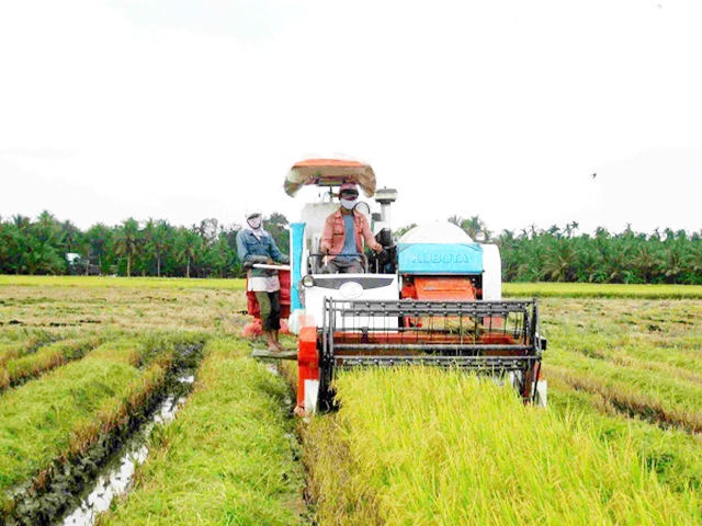 Tân Hòa cần đẩy mạnh nhân rộng các mô hình sản xuất hiệu quả để hoàn thành mục tiêu về đích NTM trong năm 2018