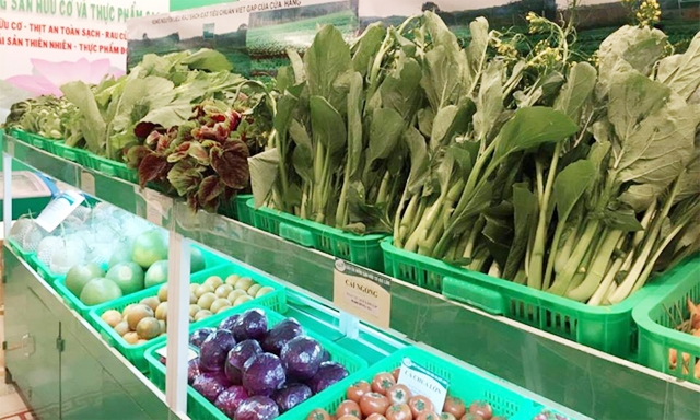 Rau quả hữu cơ vào siêu thị