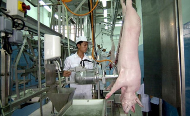 Cơ sở giết mổ tập trung hiện đại giúp HTX cạnh tranh lành mạnh trên thị trường