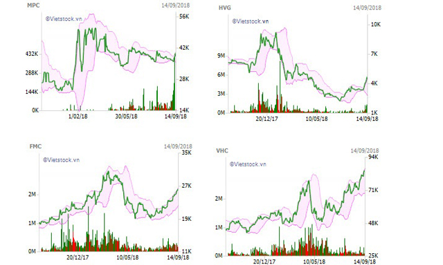 Biến động một số cổ phiếu thủy sản trong vòng 12 tháng qua