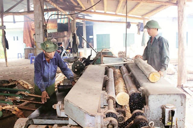 Các HTX tại Tràng Định đang có những chuyển biến tích cực, mang lại hiệu quả cao