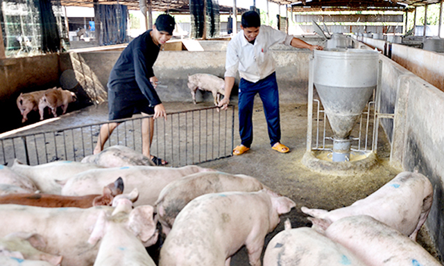 HTX đang cung cấp các dịch vụ chất lượng, thúc đẩy sản xuất an toàn, đem lại hiệu quả cao