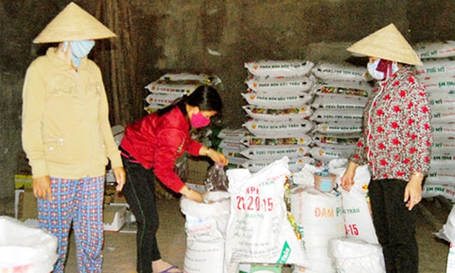 Dịch vụ kinh doanh phân bón của HTX nông nghiệp 1 Phước Sơn