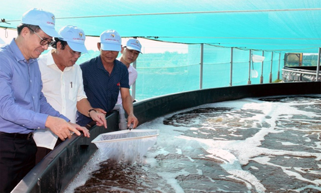 Lãnh đạo Tỉnh ủy và UBND tỉnh Bạc Liêu tham quan mô hình nuôi tôm công nghệ cao của HTX