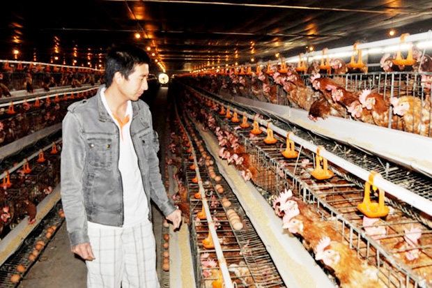 Các HTX đang đóng góp tích cực vào phát triển nông nghiệp an toàn huyện Thuận Thành