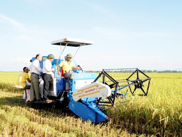 HTX nông nghiệp là chìa khóa xây dựng NTM bền vững