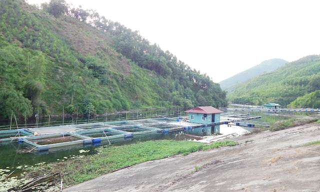 Nhà nổi nuôi cá lồng của HTX trên đầm Vân Hội