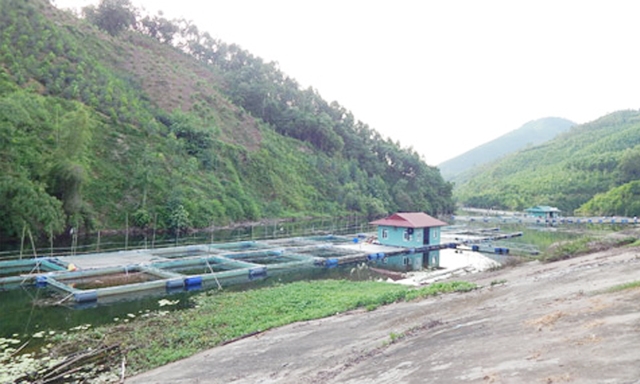 Nhà nổi nuôi cá lồng của HTX trên đầm Vân Hội