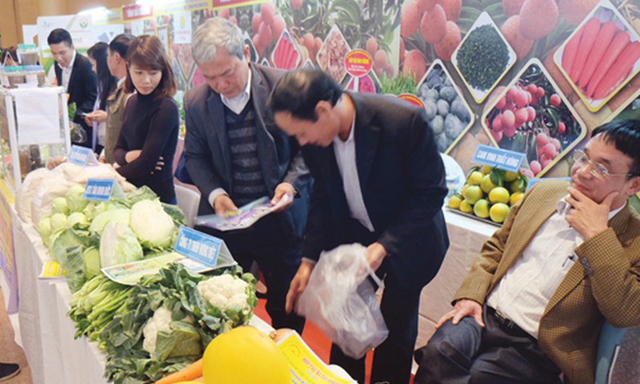 Xuất khẩu nhiều nhưng phần lớn nông sản Việt bị mất tên ở thị trường nước ngoài