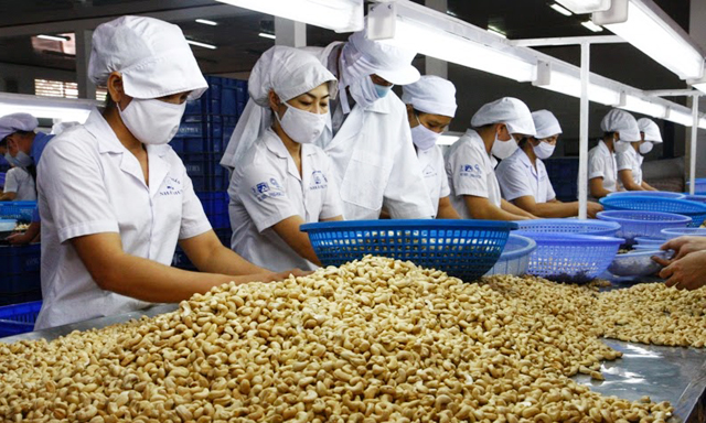 Đã đến lúc, ngành điều hướng về phục vụ thị trường trong nước