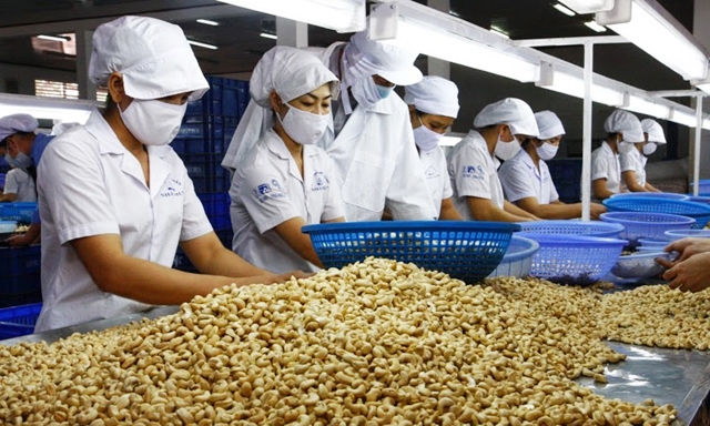 Đã đến lúc, ngành điều hướng về phục vụ thị trường trong nước