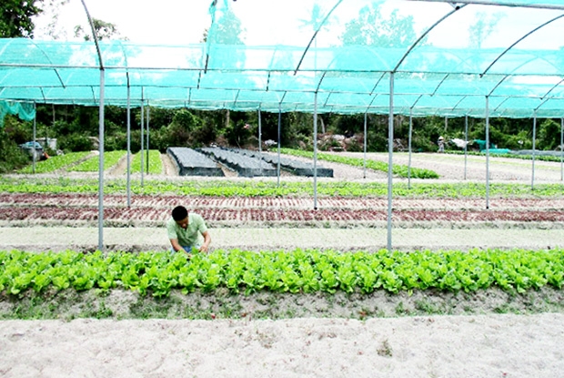 Các mô hình sản xuất RAT đang được chú trọng phát triển ở Cao Lộc