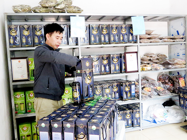 Các sản phẩm chế biến từ cây dược liệu đang mang lại giá trị cao tại Ba Chẽ