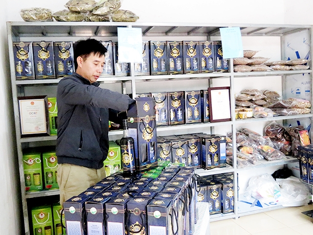 Các sản phẩm chế biến từ cây dược liệu đang mang lại giá trị cao tại Ba Chẽ