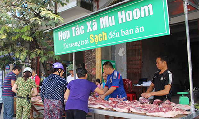 Điểm bán thịt lợn rừng của HTX Mu Hoom