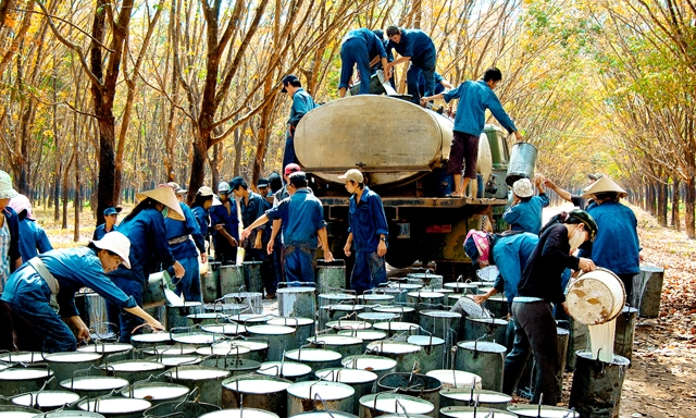 DN Việt Nam vẫn tập trung ở những khâu có giá trị gia tăng thấp