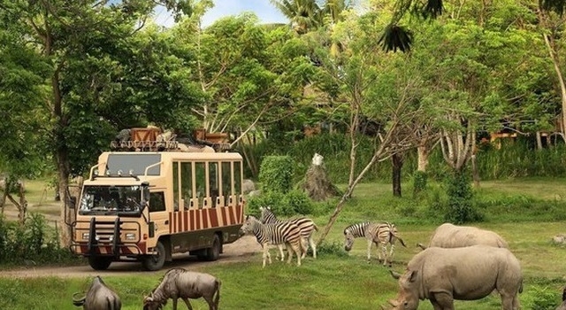 Dự án có diện tích khoảng 530ha và tổng vốn đầu tư khoảng 500 triệu USD.