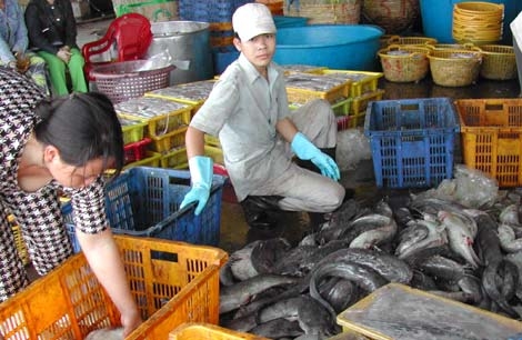 NK nguyên liệu thủy sản bị ách tắc vì không có giấy chứng nhận kiểm dịch/an toàn thực phẩm