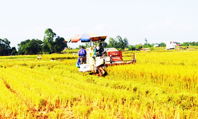 Cơ giới hóa nâng cao hiệu quả sản xuất ở HTX Vĩnh Lại