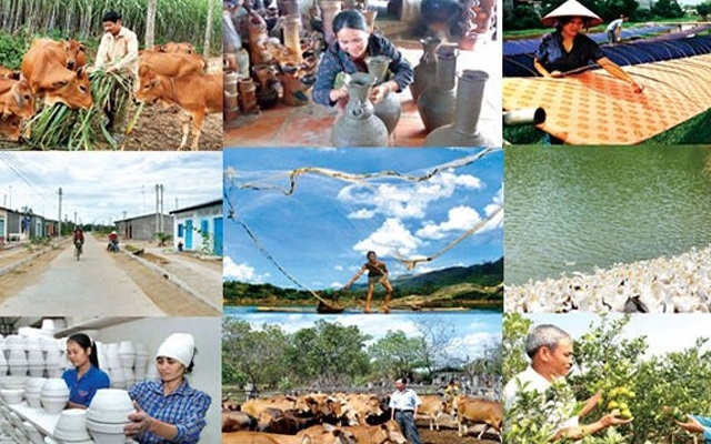 Nguồn vốn cho vay của Quỹ còn hạn chế, mới chỉ đáp ứng 30-35% nhu cầu vốn tạo việc làm.