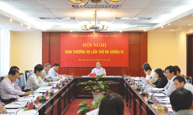 Chủ tịch Nguyễn Ngọc Bảo: Đề nghị Ban Thường vụ tập trung hoàn thành các nội dung đã được đề ra