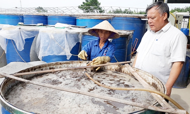 Ông Trần Xuân Hồng - Giám đốc - Chủ tịch HĐQT HTX Ánh Dương đang kiểm tra cơ sở sản xuất nước mắm của HTX