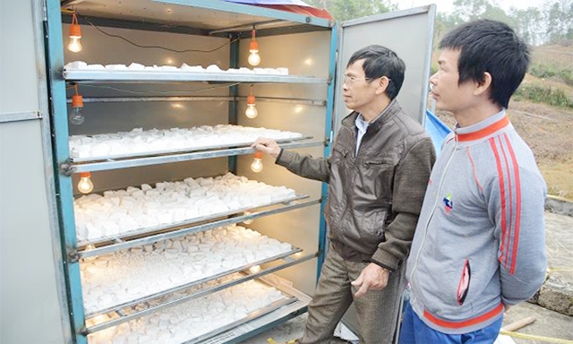 Máy sấy bột sắn dây của HTX