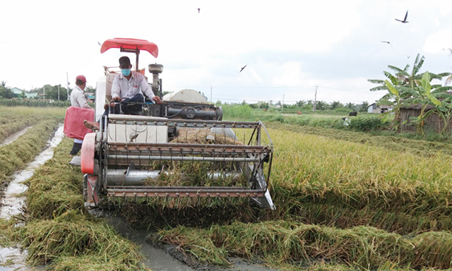 Nông dân ứng dụng cơ giới hóa trong sản xuất