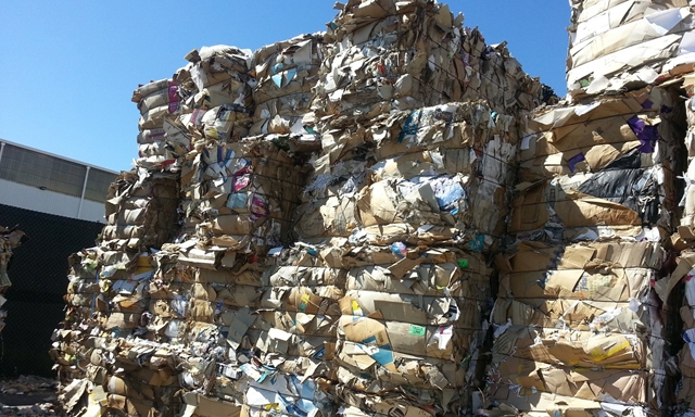 Siết nhập khẩu giấy phế liệu, DN giấy điêu đứng