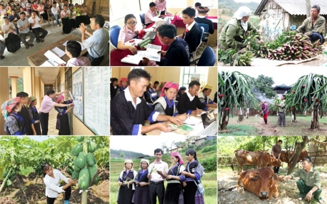 Ảnh minh họa (Nguồn: Internet)