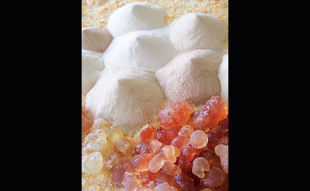 Nước ép keo sau đó được sấy khô. Một máy áp lực không khí 200 độ tách keo khỏi nước trong tháp cao. Keo được thu hoạch thành dạng bột. Keo arabic tan tốt trong nước, tạo dung dịch sệt nhớt. Nhờ tính chất nhớt này mà keo arabic ngăn cản đường kết tinh trở lại, và trở thành phụ liệu lý tưởng trong sản xuất kẹo cao su (chewing gum). Ảnh: Nexira