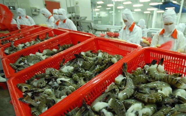 EU là thị trường xuất khẩu tôm các loại lớn nhất của Việt Nam.