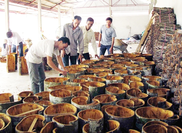 Văn Yên đang có 53 HTX, đem lại việc làm cho hơn 4.000 lao động