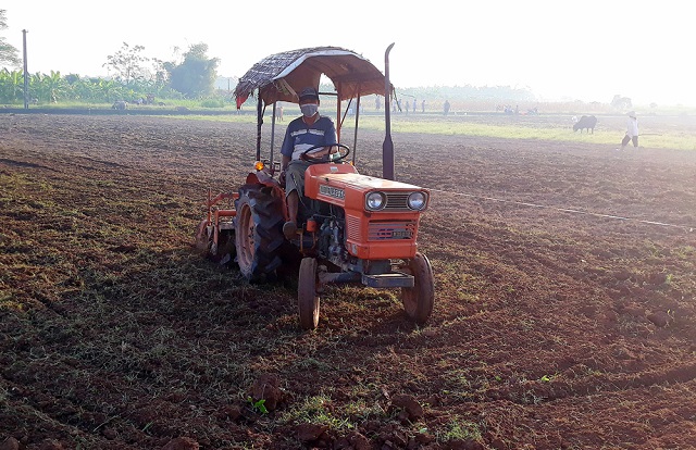 Đẩy mạnh cơ giới hóa để nâng cao hiệu quả sản xuất vụ Đông