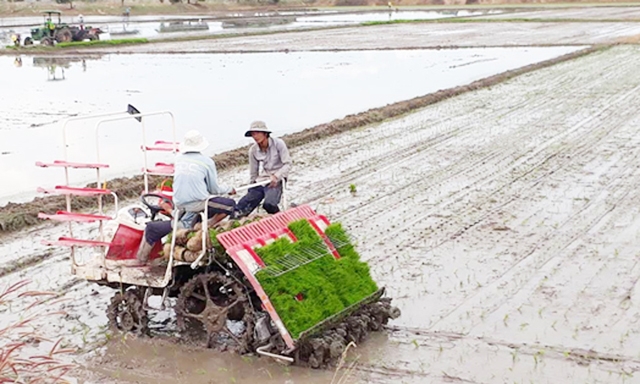 Các HTX nông nghiệp đẩy mạnh ứng dụng KH-KT vào sản xuất