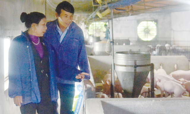 Trang trại của HTX Hoàng Châu