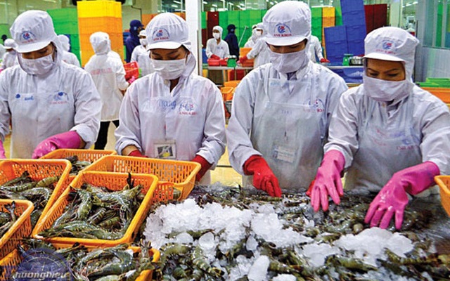 9 tháng qua, giá trị xuất khẩu tôm đạt 2,7 tỷ USD (giảm 1,1% so với cùng kỳ).