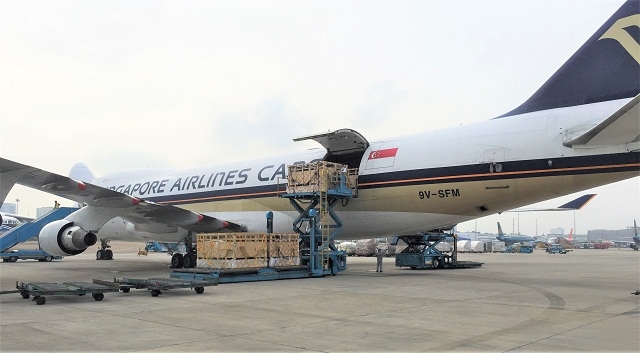 Chuyên cơ chở hơn 200 cô bò hữu cơ từ Úc về Việt Nam