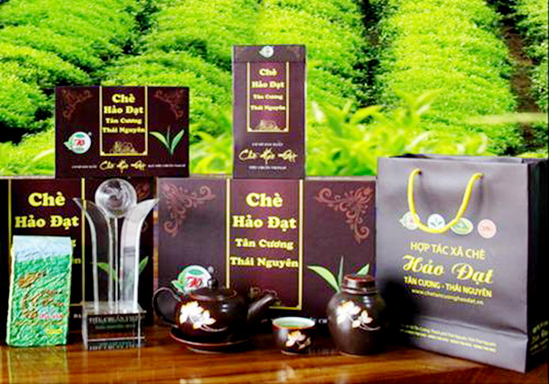 HTX Hảo Đạt đang đẩy mạnh chế biến để gia tăng giá trị sản phẩm, nâng tầm thương hiệu