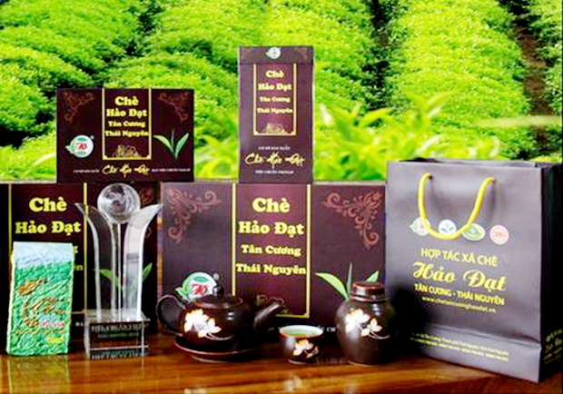 HTX Hảo Đạt đang đẩy mạnh chế biến để gia tăng giá trị sản phẩm, nâng tầm thương hiệu